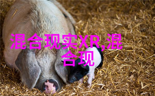 三星 Galaxy Unpacked前瞻S25系列之外XR设备将成为最大黑马