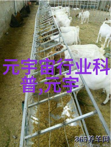 小米VR一体机评测领你进入新世界但不要太晕
